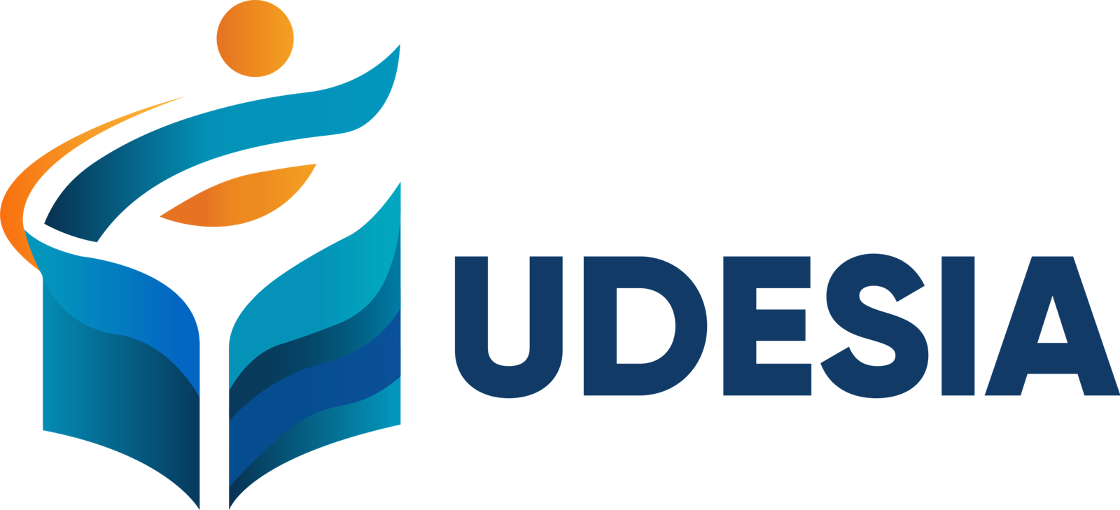 UDESIA